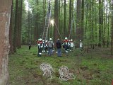Maibaum_2016 (9).JPG